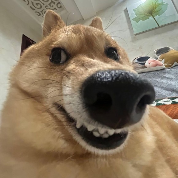 g0thii_i